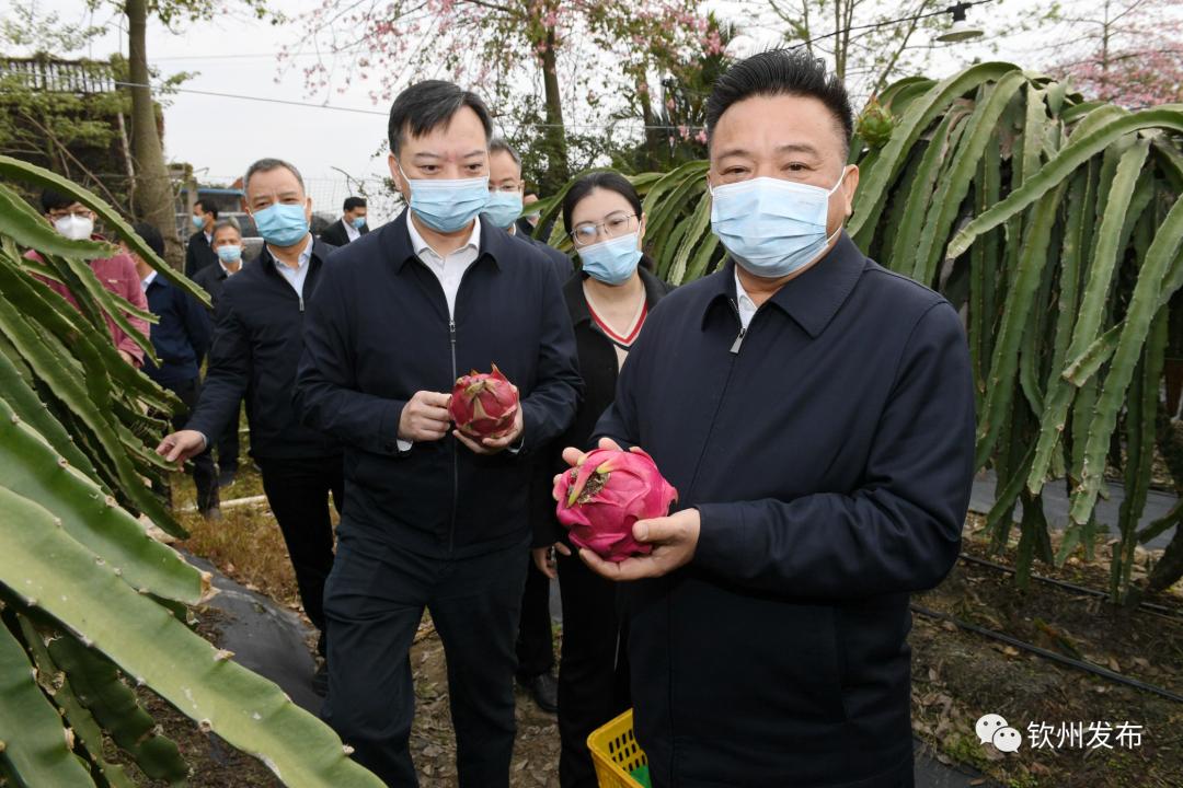 新澳天天免费资料大全|全面贯彻解释落实